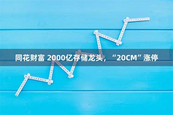 同花财富 2000亿存储龙头，“20CM”涨停